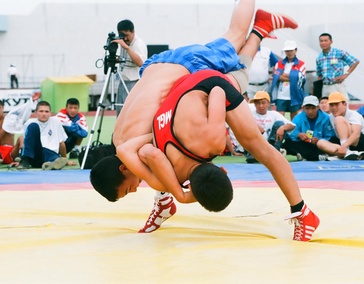 Вольная борьба