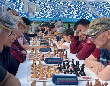 Шашки, шахматы